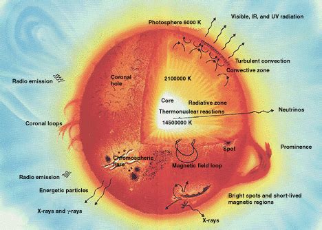 The Sun: An Important Star | SchoolWorkHelper