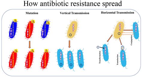 Pathogens | Free Full-Text | Bacterial Antibiotic Resistance: The Most ...