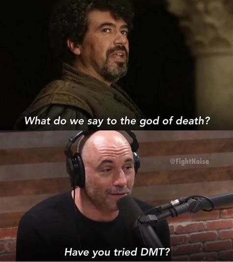 These Joe Rogan Memes Are Quite The Experience - Yes, Today | Memes