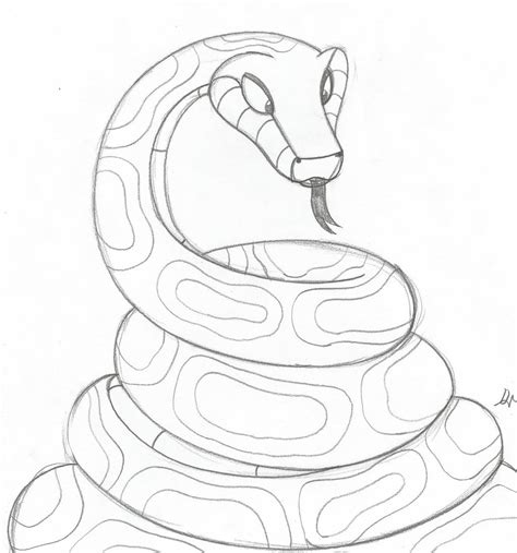 Burmese Python Sketch by lol20 on DeviantArt