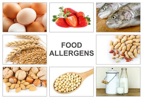 What Are the 8 Most Common Food Allergies? | Food Allergies Atlanta