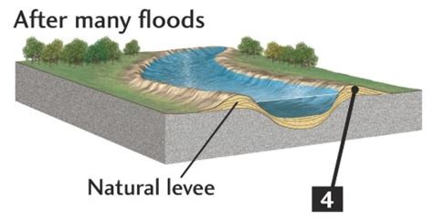 Fluvial Depositional Landforms | Types of Deltas - PMF IAS