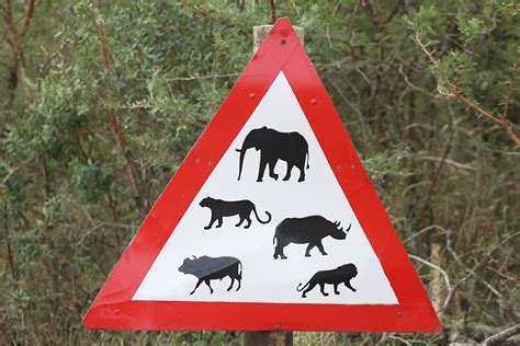 Road Signs - South Africa must have some of the most unusual road signs ...