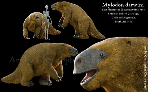 Mylodon darwini by Christopher252 on DeviantArt