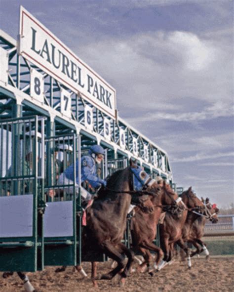 Laurel Park's Fall Schedule Unveiled - Paulick Report | Shining Light ...