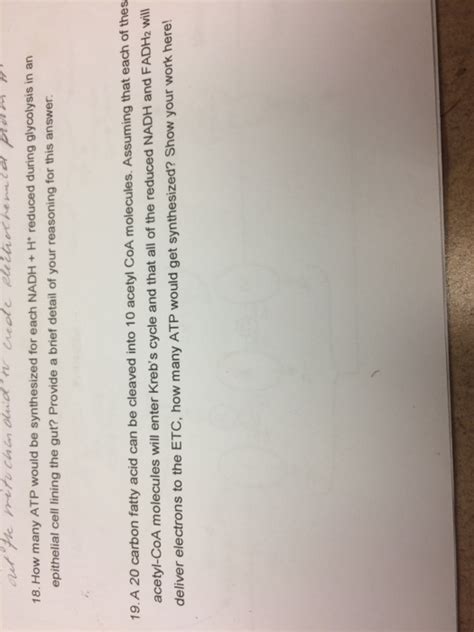 Solved How many ATP would be synthesized for each NADH + H^+ | Chegg.com