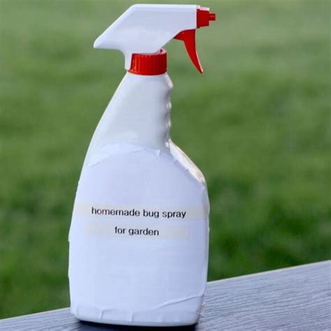 How to make Homemade Insecticide - all natural pesticide