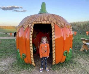 Best Pumpkin Patches Near DC for Picking the Perfect Pumpkin | Mommy ...