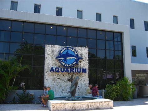 Mote-Marine-Aquarium-Sarasota-FL-001