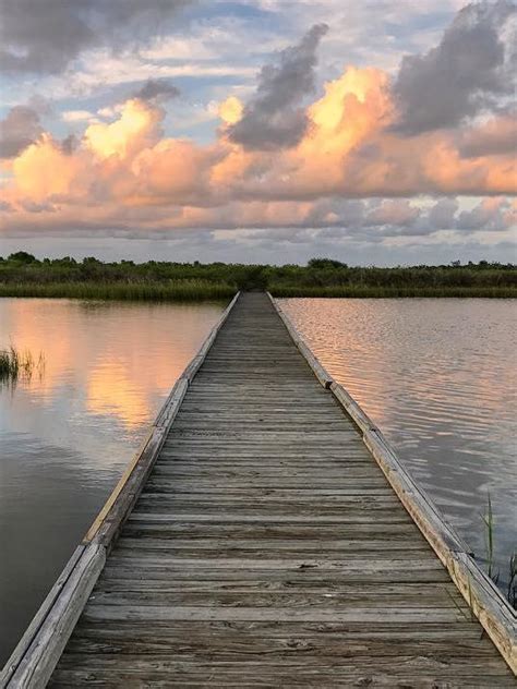 Guide to Galveston Island State Park | Visit Galveston