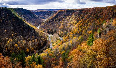 Fall Foliage in Pa.’s Grand Canyon | Garden Housecalls