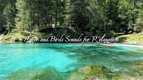 River Sounds for Sleeping or Studying, Relaxation (8 Hours) | River ...