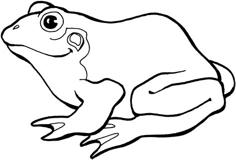 Sent from my BlackBerry | Frog coloring pages, Frog outline, Animal ...