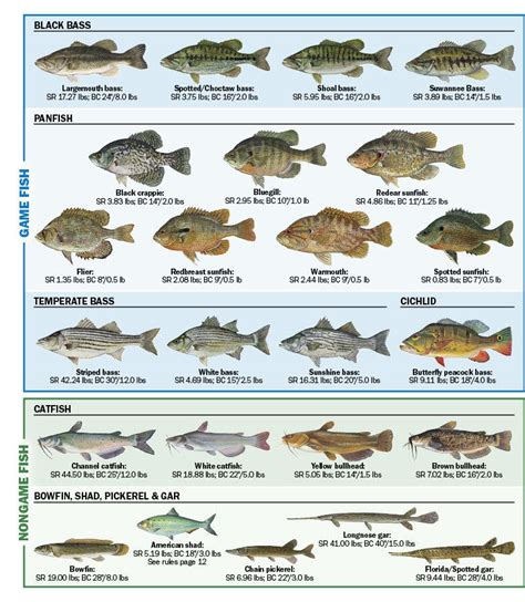 Freshwater Fish of Florida - Florida Freshwater Fishing | eRegulations