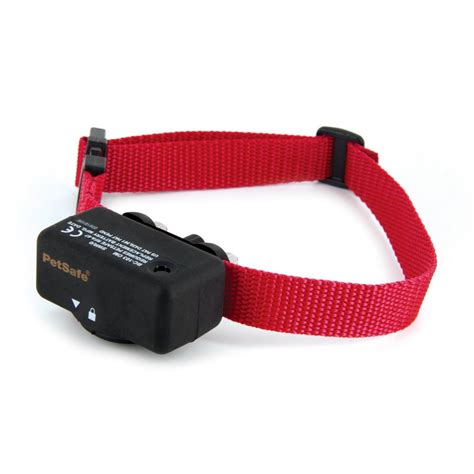 Shock Collars Marketed as Safe May Be Dangerous and Painful to Pets ...