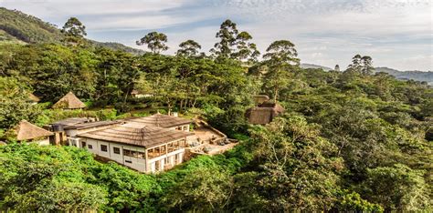 Bwindi Forest National Park Uganda Accommodation | Gorilla Trekking