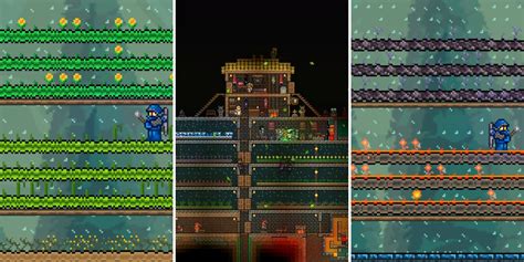 Best Plants And Herbs To Grow In Terraria