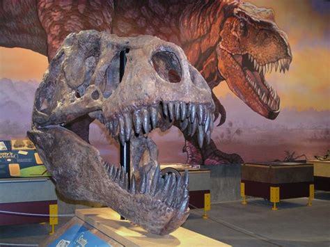 T. Rex Discovery Centre (Eastend, Saskatchewan): Hours, Address, Top ...