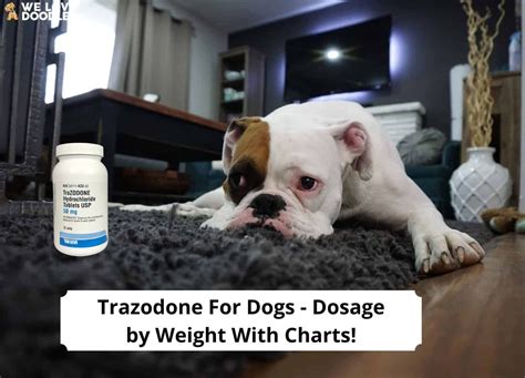 Trazodone For Dogs – Dosage by Weight With Charts!