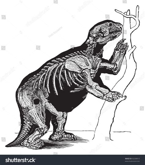 Skeleton (Mylodon Robustus) / Vintage Illustration From Meyers ...