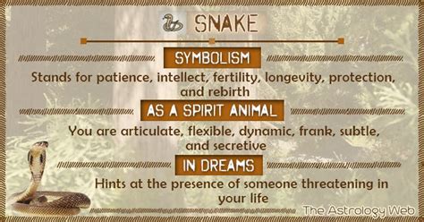 Snake Symbolism Spirit Animal Dream | Dream symbols, Snake meaning ...