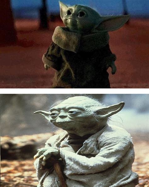 baby yoda old yoda Blank Template - Imgflip