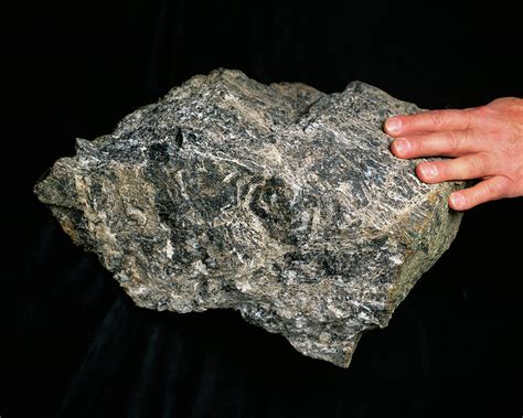 Chert Rock Photograph by Sinclair Stammers/science Photo Library - Pixels