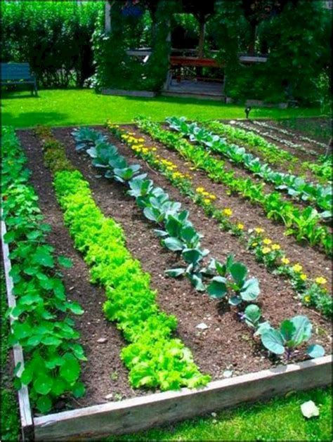 Marvelous 25+ Easy Vegetable Garden Layout Ideas For Beginner https ...