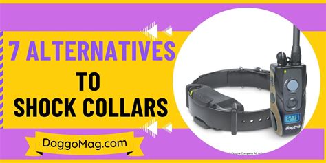 Shock Collar Alternatives To Train Your Dog Organically - DoggoMag