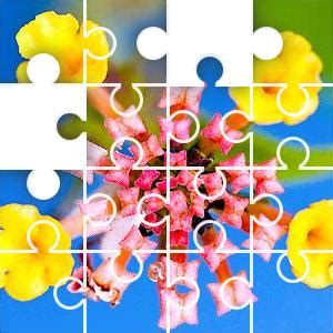 Everyday jigsaw puzzle - acetowidget