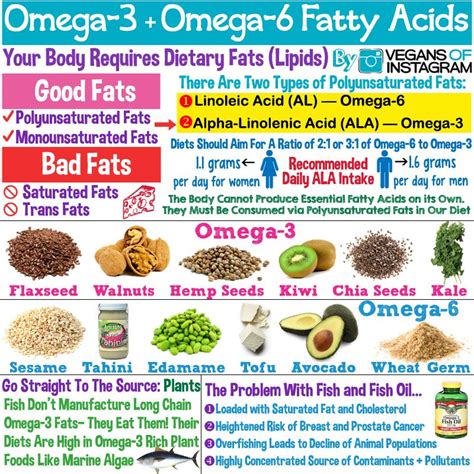 Omega-3 and Omega-6 balance. Avoid processed foods to support body's ...