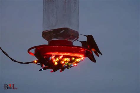 Hummingbird Feeder Heater Diy