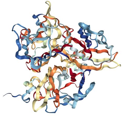 TACI Protein Overview | Sino Biological