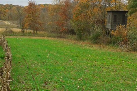 rwws-oats-plot-topped-10-31-2012 | Food Plot Seed- Food Plots- Deer ...