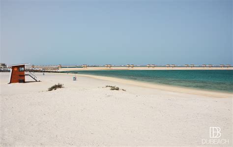 Jebel Ali Dog Beach, Pet-friendly beach Dubai, Location