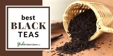 7 Best Black Tea Brands in 2023 - Pick One and Enjoy!