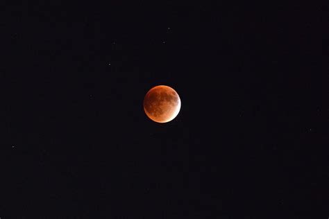 The harvest Moon Lunar Eclipse Photograph by Patrick Byrnes - Fine Art ...