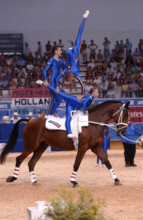 Pin von Sandy Bentley auf Horsin Around | Voltigieren, Voltigieranzug ...