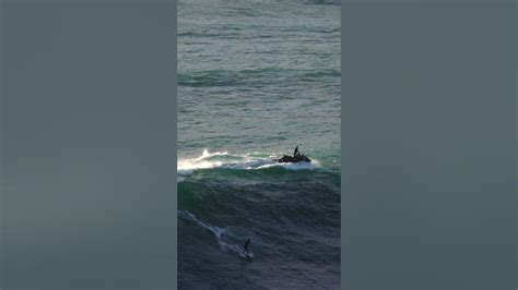 NAZARÉ | Surfers on the waves of Nazarė / November 2023 #bigwavesurfing ...