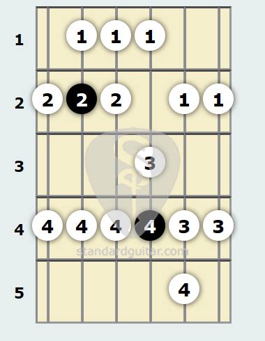 B Major Scale | Standard Guitar