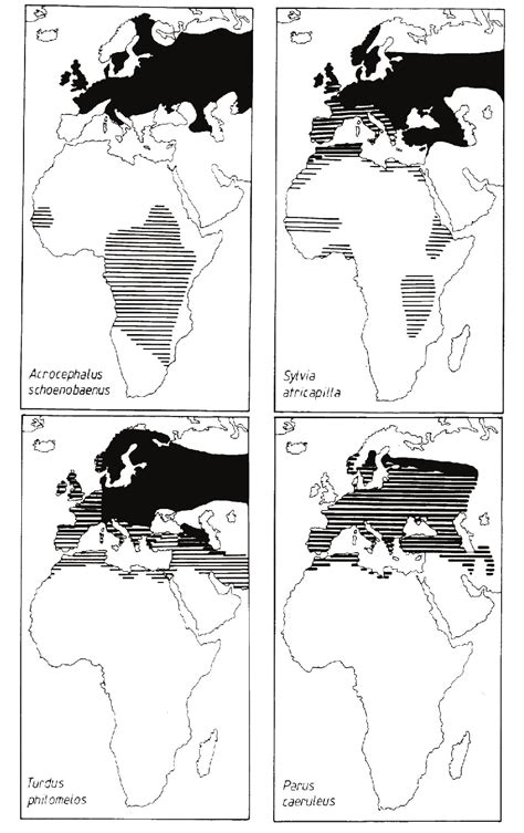 Figure 3 from Evolution of the Western Palaearctic Passerine Migration ...