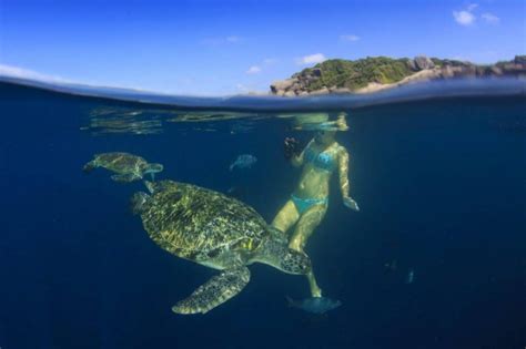 Best Snorkeling Spots in the Galápagos Islands - Detour