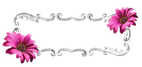 Free Banner Clip Art Black And White Flower