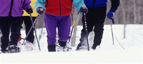 How to Find the Best Winter Activities in Wisconsin