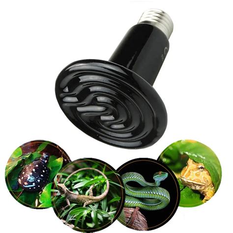 Pet Reptile Heating Lamp 25/50/75/100/150/200W Turtle Ceramic Infrared ...