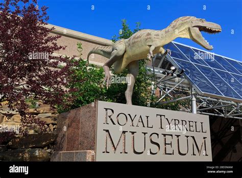 Royal Tyrrell Museum, Dinosaur in Drumheller, Alberta, Canada Stock ...