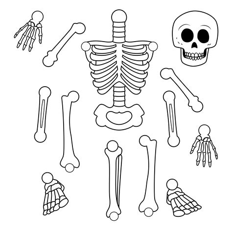 Large Skeleton Template - 20 Free PDF Printables | Printablee