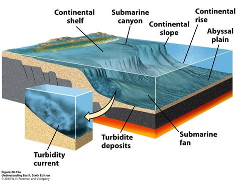 Submarine Canyon | Geology activities, Geophysics, Physical geography