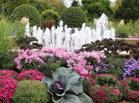 Romancing the Home: Fall Color at the Chicago Botanic Gardens