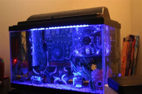 Gaming computer submerged in mineral oil | Gamer setup, Gamers anime ...